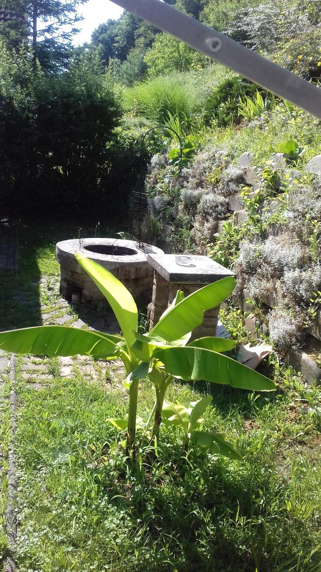 Villa Mecseki Farkaslak Magyarhertelend Exterior foto